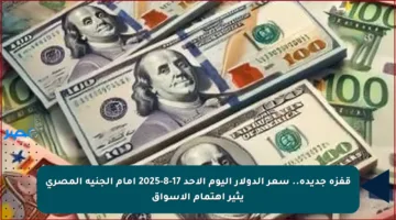 قفزة جديدة.. سعر الدولار اليوم الأحد 17-8-2025 أمام الجنيه المصري يثير اهتمام الأسواق